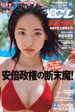 美丽的凯特