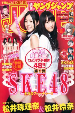 平凡导航巨人导航500导航