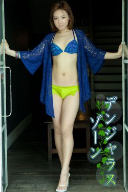 欧美动物交video